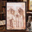 Suche nach menschliches skelett poster Skelette