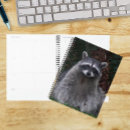 Suche nach waschbär büro zubehör Niedlich
