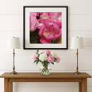 Suche nach rosa pfingstrose poster Frühling