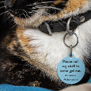 Suche nach katzenmarken Cats