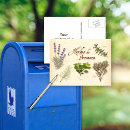 Suche nach rosmarin postkarten Thyme