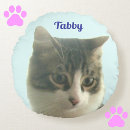 Suche nach tabby kissen Katze