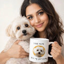 Suche nach hundefoto tassen Dogs
