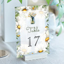 Suche nach gänseblümchen tischkarten Frühling sommer