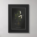 Suche nach für botaniker poster Natur