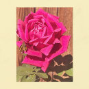 Suche nach rosa blumen postkarten Mother