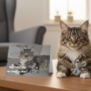 Suche nach lustige den vatertagskarten Katze