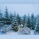 Suche nach winter brotdosen Landschaft