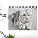 Suche nach lustige katze kalender Für sie
