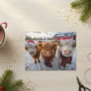 Suche nach weihnachtskuh poster Bauernhof