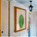 Suche nach ficus poster Pflanze