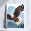 Suche nach weißkopfseeadler poster Vogel
