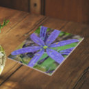 Suche nach blaue blüten fliesen Botanisch