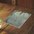 Suche nach agave fliesen Kakteen