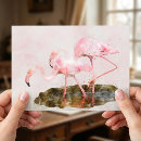 Suche nach rosa flamingos postkarten Tropische vögel