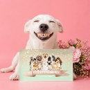 Suche nach adoption visitenkarten Tierrettung