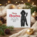 Suche nach standard poodle postkarten Weihnachtspostkarte