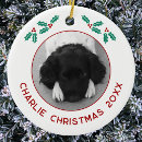Suche nach hunde ornamente Lustig