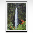 Suche nach rainforest poster Vintag
