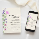 Suche nach wildflower Baby in blüte