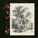 Suche nach vintage kirche postkarten Natur