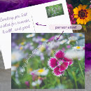 Suche nach gartenliebhaber karten Für sie