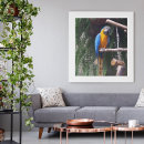 Suche nach parrott poster Vogel