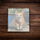 Suche nach hund notizblock Foto