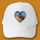 Suche nach pets hut kappen Dogs