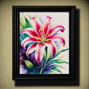 Suche nach stargazer lilie poster Rosa
