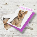 Suche nach yorkshire terrier geburtstag karten Welpe