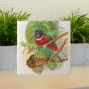 Suche nach vogel fliesen Farbenfroh