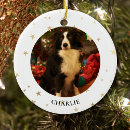 Suche nach doge ornamente Pet dog