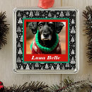 Suche nach schwarze katze ornamente Rot