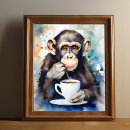 Suche nach lustiger affe poster Schimpanse