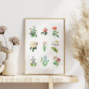 Suche nach vintage botanische illustration poster Illustrationen