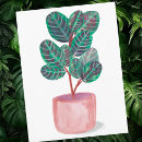 Suche nach pflanze postkarten Aquarell