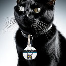 Suche nach katzenmarken Verloren