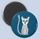 Suche nach lemur magnet magnete Ringschwanz