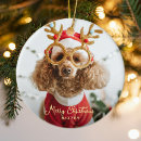 Suche nach niedlicher hund ornamente Andenken