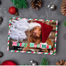 Suche nach lustige weihnachtskarten Hund