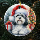 Suche nach havanese ornamente Niedlich