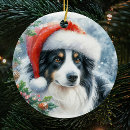 Suche nach border collie ornamente Haustier