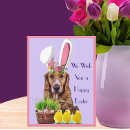 Suche nach lustige ostern postkarten Hasenohren