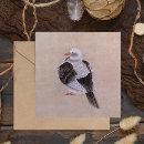 Suche nach taube karten Vogelvogel