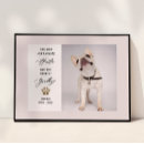 Suche nach pet memorial poster Erinnerung