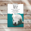 Suche nach seelöwe einladungen Strand