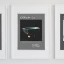Suche nach pottery poster Keramiken