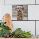 Suche nach niedlicher hund fliesen Hundefreund