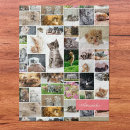 Suche nach verrückte katzen puzzle Verrückte katze lady